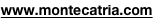 shapeimage_6_link_0